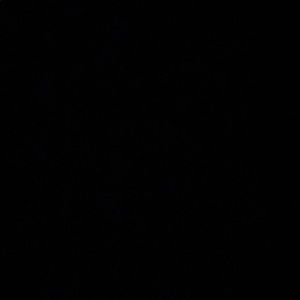 Meet your Posher, Sierra